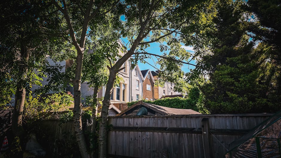 The image shows a view from the garden of a residential property during daytime, with tall green trees and leafy foliage partially obscuring the view of a row of modern terraced houses in Stoke Newington N16, near Clissold Park. In the foreground, a weathered wooden fence runs across the scene, with a small shed roof visible above it. The houses behind feature a mix of brick and stucco facades, with multiple windows and gabled roofs. The sky is clear and blue, with sunlight filtering through the tree branches. This setting illustrates a typical urban street environment suitable for house removals and domestic relocations, with no specific activity or moving equipment visible, but the surroundings evident as part of a residential area where professional removals by Removal Companies Hackney could take place during home relocation, involving furniture transport and packing procedures.