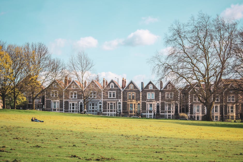 A row of Victorian-style terraced houses with brick facades, white window frames, and pitched roofs located along a street bordering Clissold Park in Stoke Newington N16. The houses are set back from a large, open grassy area with a few mature, leafless trees indicating late autumn or winter. The sky above is partly cloudy with patches of blue, and the sunlight casts soft shadows across the lawn. In the foreground, a few cardboard boxes and small furniture items are seen on the grass, surrounding a moving trolley and plastic wrapping materials. The scene appears to capture a house removal process, with the outdoor space used as a staging area for loading belongings onto a van parked nearby, supported by Removal Companies Hackney specializing in home relocation and furniture transport services.